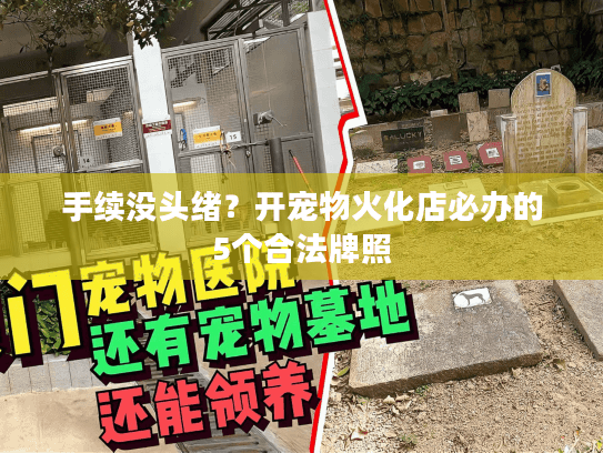 手续没头绪？开宠物火化店必办的5个合法牌照
