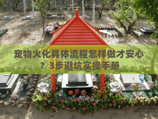 宠物火化具体流程怎样做才安心？3步避坑实操手册