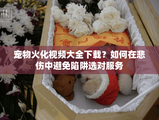宠物火化视频大全下载?如何在悲伤中避免陷阱选对服务 宠物火化视频大全下载?如何在悲伤中避免陷阱选对服务