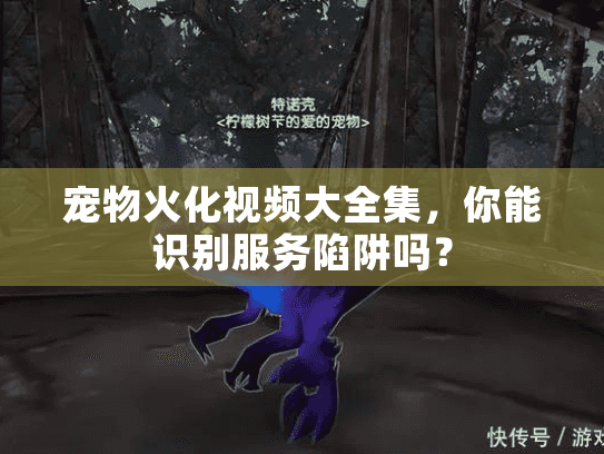 宠物火化视频大全集,你能识别服务陷阱吗? 宠物火化视频大全集,你能识别服务陷阱吗?