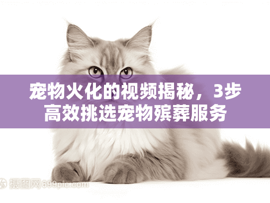 宠物火化的视频揭秘，3步高效挑选宠物殡葬服务