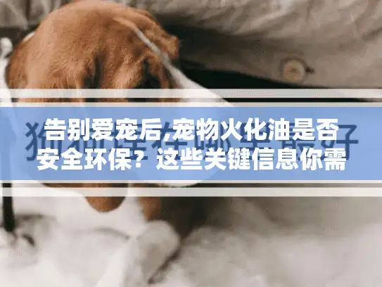 告别爱宠后,宠物火化油是否安全环保？这些关键信息你需要知道