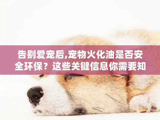 告别爱宠后,宠物火化油是否安全环保？这些关键信息你需要知道
