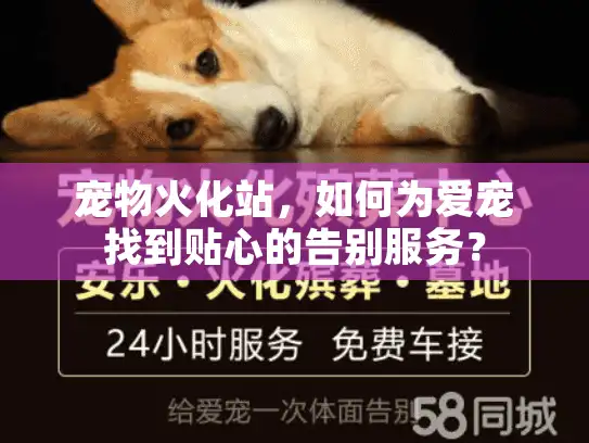 宠物火化站,如何为爱宠找到贴心的告别服务? 宠物火化站,如何为爱宠找到贴心的告别服务?