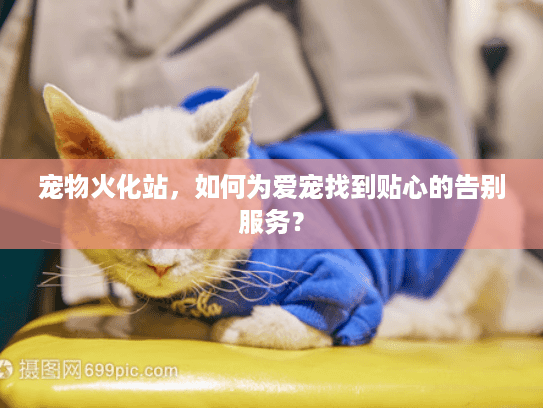 宠物火化站,如何为爱宠找到贴心的告别服务? 宠物火化站,如何为爱宠找到贴心的告别服务?