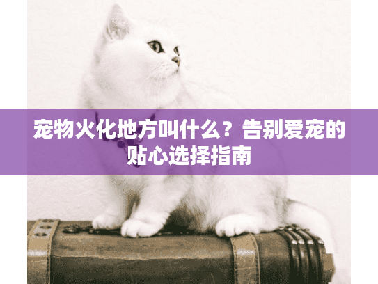 宠物火化地方叫什么?告别爱宠的贴心选择指南 宠物火化地方叫什么?告别爱宠的贴心选择指南