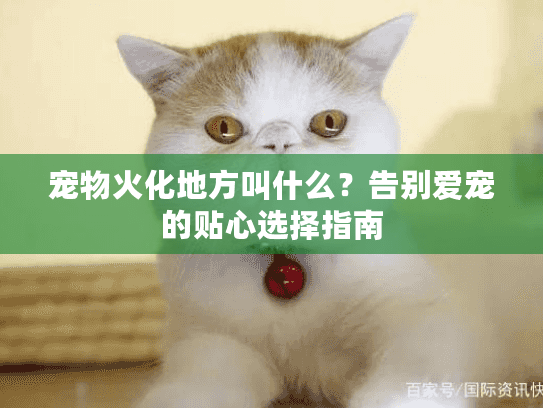 宠物火化地方叫什么?告别爱宠的贴心选择指南 宠物火化地方叫什么?告别爱宠的贴心选择指南