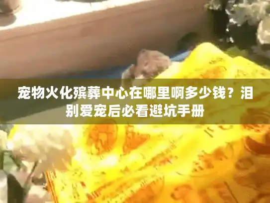 宠物火化殡葬中心在哪里啊多少钱?泪别爱宠后必看避坑手册 宠物火化殡葬中心在哪里啊多少钱?泪别爱宠后必看避坑手册