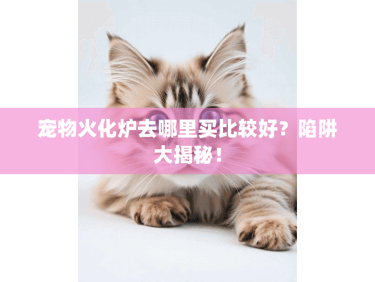 宠物火化炉去哪里买比较好？陷阱大揭秘！
