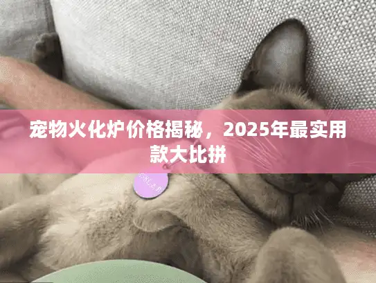 宠物火化炉价格揭秘，2025年最实用款大比拼
