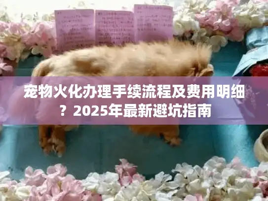 宠物火化办理手续流程及费用明细?2025年最新避坑指南 宠物火化办理手续流程及费用明细?2025年最新避坑指南
