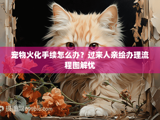 宠物火化手续怎么办?过来人亲绘办理流程图解忧 宠物火化手续怎么办?过来人亲绘办理流程图解忧