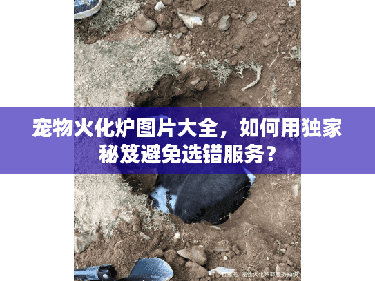 宠物火化炉图片大全,如何用独家秘笈避免选错服务? 宠物火化炉图片大全,如何用独家秘笈避免选错服务?