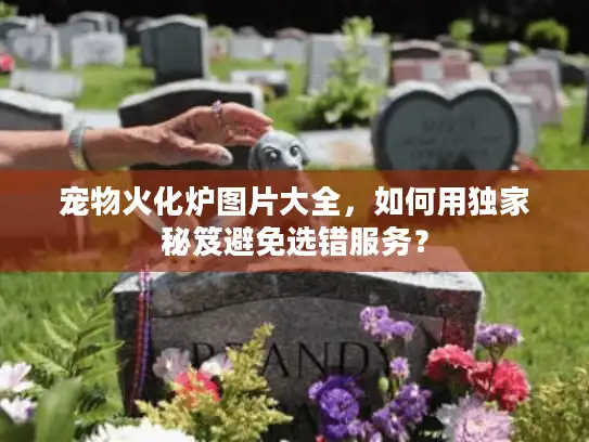 宠物火化炉图片大全,如何用独家秘笈避免选错服务? 宠物火化炉图片大全,如何用独家秘笈避免选错服务?