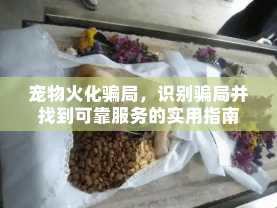 宠物火化骗局，识别骗局并找到可靠服务的实用指南