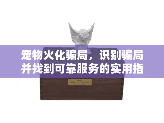 宠物火化骗局，识别骗局并找到可靠服务的实用指南
