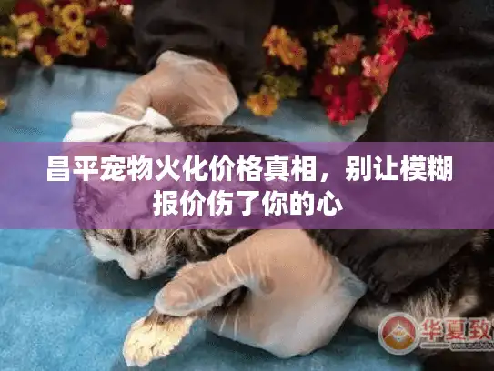 昌平宠物火化价格真相，别让模糊报价伤了你的心