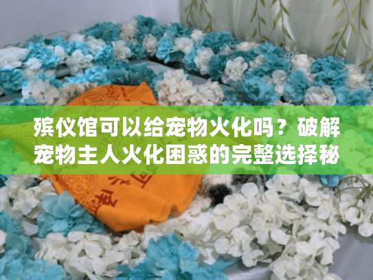 殡仪馆可以给宠物火化吗?破解宠物主人火化困惑的完整选择秘籍 殡仪馆可以给宠物火化吗?破解宠物主人火化困惑的完整选择秘籍