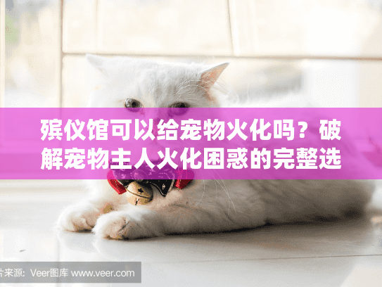 殡仪馆可以给宠物火化吗?破解宠物主人火化困惑的完整选择秘籍 殡仪馆可以给宠物火化吗?破解宠物主人火化困惑的完整选择秘籍