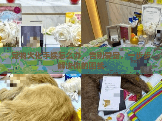 宠物火化手续怎么办，告别爱宠，一步步解决你的困扰