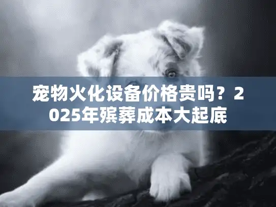 宠物火化设备价格贵吗？2025年殡葬成本大起底