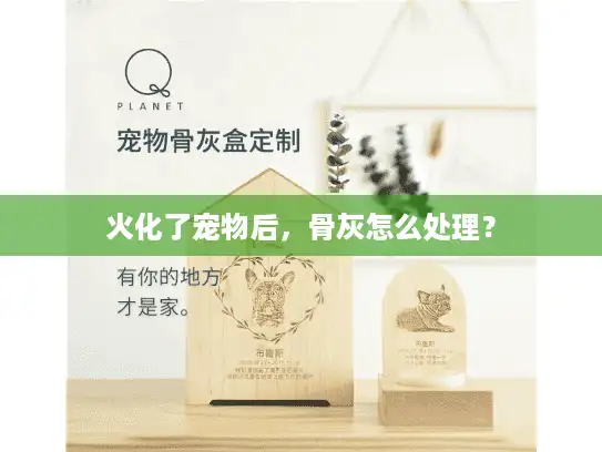 火化了宠物后,骨灰怎么处理? 火化了宠物后,骨灰怎么处理?