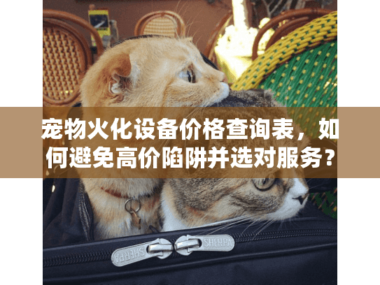 宠物火化设备价格查询表，如何避免高价陷阱并选对服务？