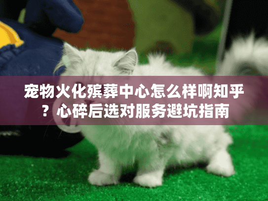 宠物火化殡葬中心怎么样啊知乎？心碎后选对服务避坑指南