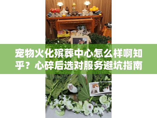 宠物火化殡葬中心怎么样啊知乎？心碎后选对服务避坑指南