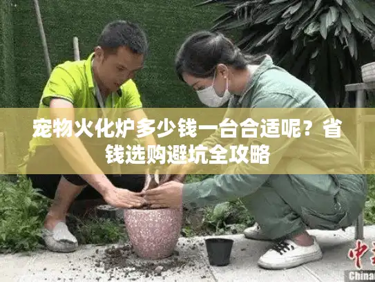 宠物火化炉多少钱一台合适呢?省钱选购避坑全攻略 宠物火化炉多少钱一台合适呢?省钱选购避坑全攻略