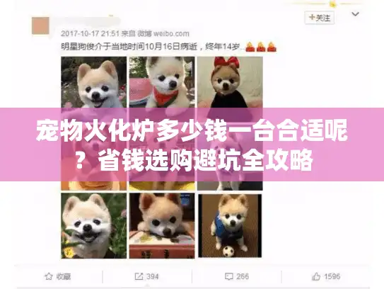 宠物火化炉多少钱一台合适呢?省钱选购避坑全攻略 宠物火化炉多少钱一台合适呢?省钱选购避坑全攻略