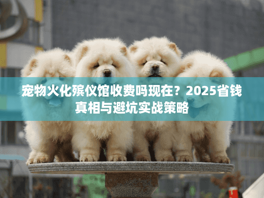 宠物火化殡仪馆收费吗现在？2025省钱真相与避坑实战策略