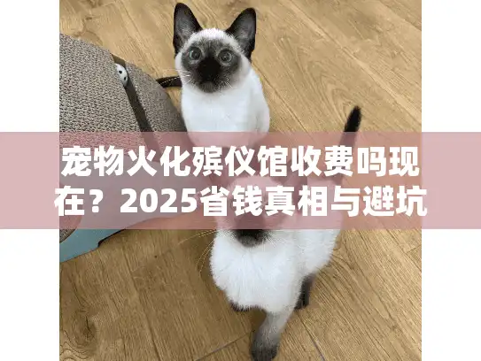 宠物火化殡仪馆收费吗现在？2025省钱真相与避坑实战策略