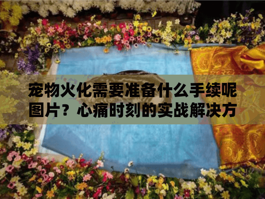宠物火化需要准备什么手续呢图片?心痛时刻的实战解决方案 宠物火化需要准备什么手续呢图片?心痛时刻的实战解决方案