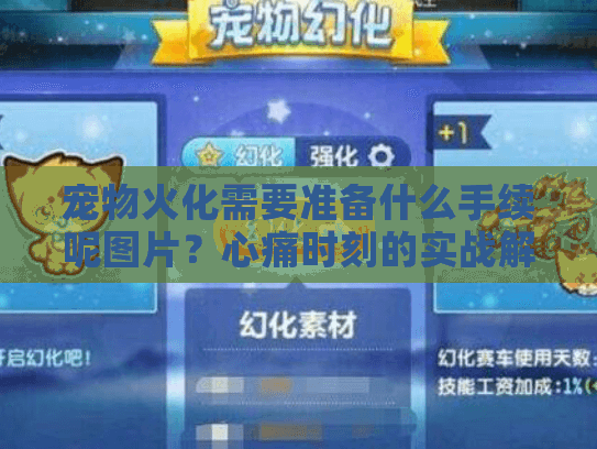 宠物火化需要准备什么手续呢图片?心痛时刻的实战解决方案 宠物火化需要准备什么手续呢图片?心痛时刻的实战解决方案