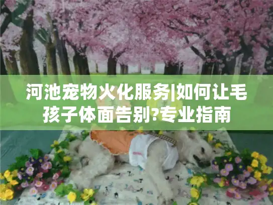 河池宠物火化服务|如何让毛孩子体面告别?专业指南