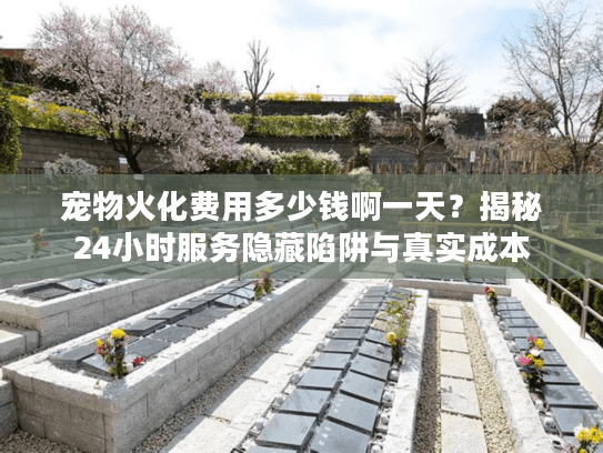 宠物火化费用多少钱啊一天？揭秘24小时服务隐藏陷阱与真实成本