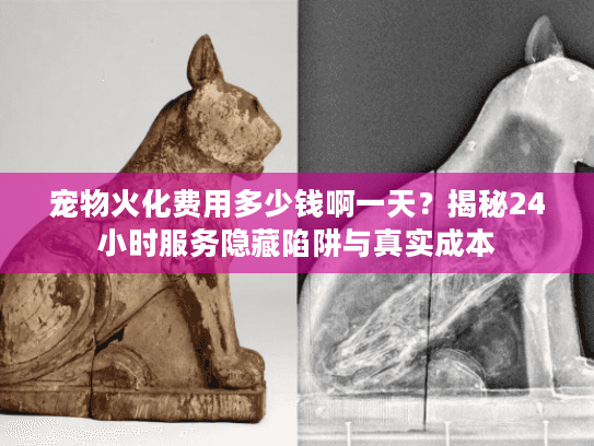宠物火化费用多少钱啊一天？揭秘24小时服务隐藏陷阱与真实成本