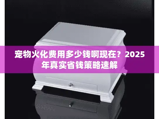 宠物火化费用多少钱啊现在？2025年真实省钱策略速解