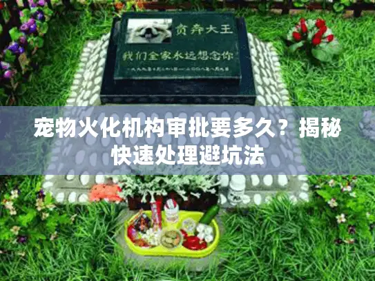 宠物火化机构审批要多久?揭秘快速处理避坑法 宠物火化机构审批要多久?揭秘快速处理避坑法