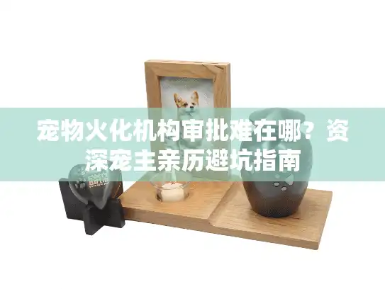 宠物火化机构审批难在哪？资深宠主亲历避坑指南