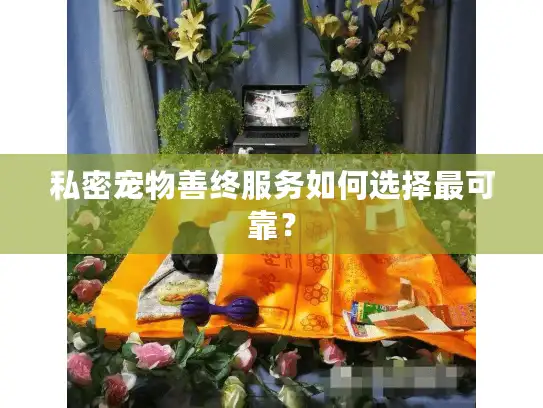私密宠物善终服务如何选择最可靠？