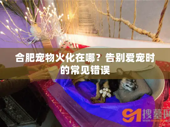 合肥宠物火化在哪？告别爱宠时的常见错误