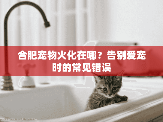 合肥宠物火化在哪？告别爱宠时的常见错误