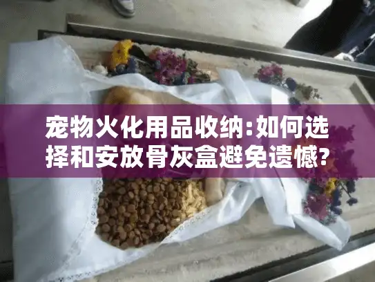 宠物火化用品收纳:如何选择和安放骨灰盒避免遗憾?