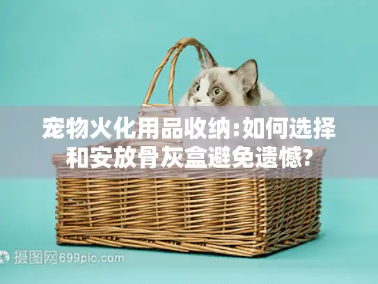 宠物火化用品收纳:如何选择和安放骨灰盒避免遗憾?