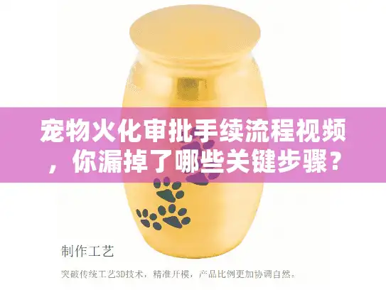 宠物火化审批手续流程视频,你漏掉了哪些关键步骤? 宠物火化审批手续流程视频,你漏掉了哪些关键步骤?