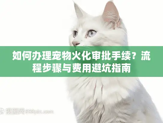 如何办理宠物火化审批手续？流程步骤与费用避坑指南