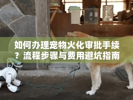 如何办理宠物火化审批手续？流程步骤与费用避坑指南