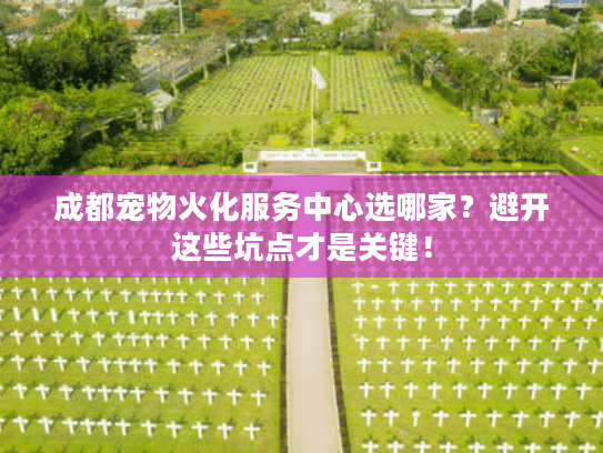 成都宠物火化服务中心选哪家？避开这些坑点才是关键！